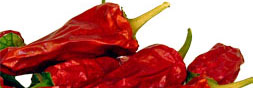 chillies